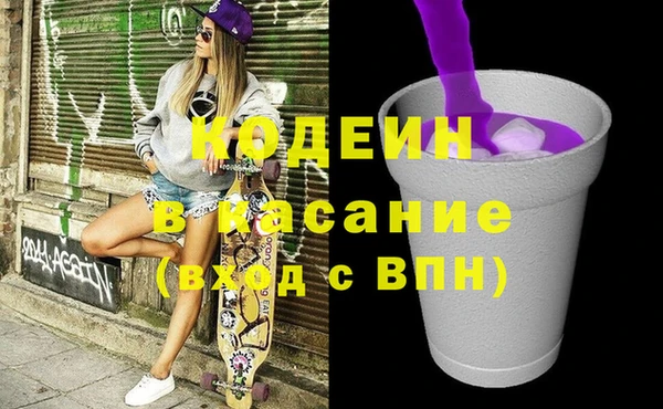 сатива Новодвинск