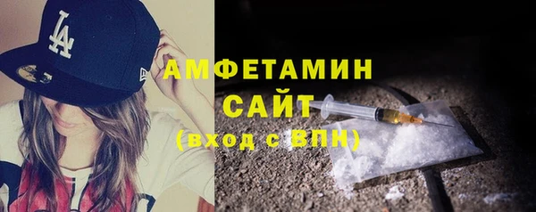 сатива Новодвинск