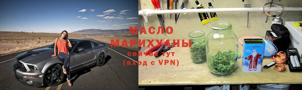 сатива Новодвинск