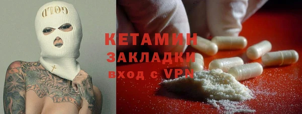 сатива Новодвинск