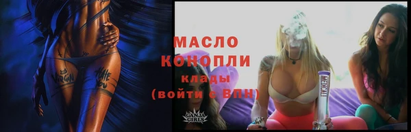 сатива Новодвинск