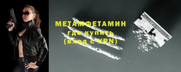 сатива Новодвинск