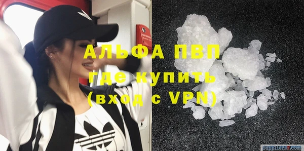 сатива Новодвинск