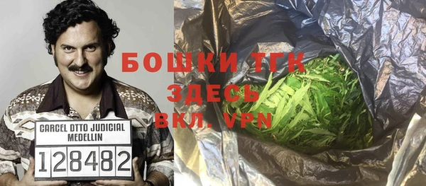 сатива Новодвинск