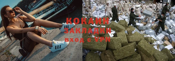 сатива Новодвинск