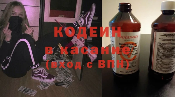 сатива Новодвинск