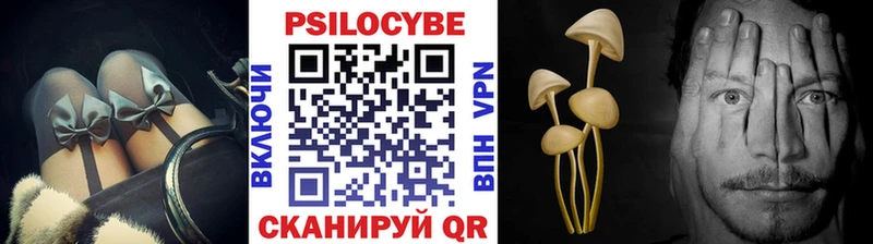 Псилоцибиновые грибы GOLDEN TEACHER хочу Тулун