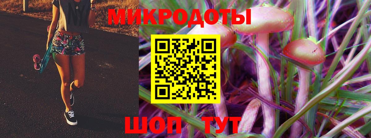 Псилоцибиновые грибы прущие грибы  Тулун  Псилоцибиновые грибы GOLDEN TEACHER 