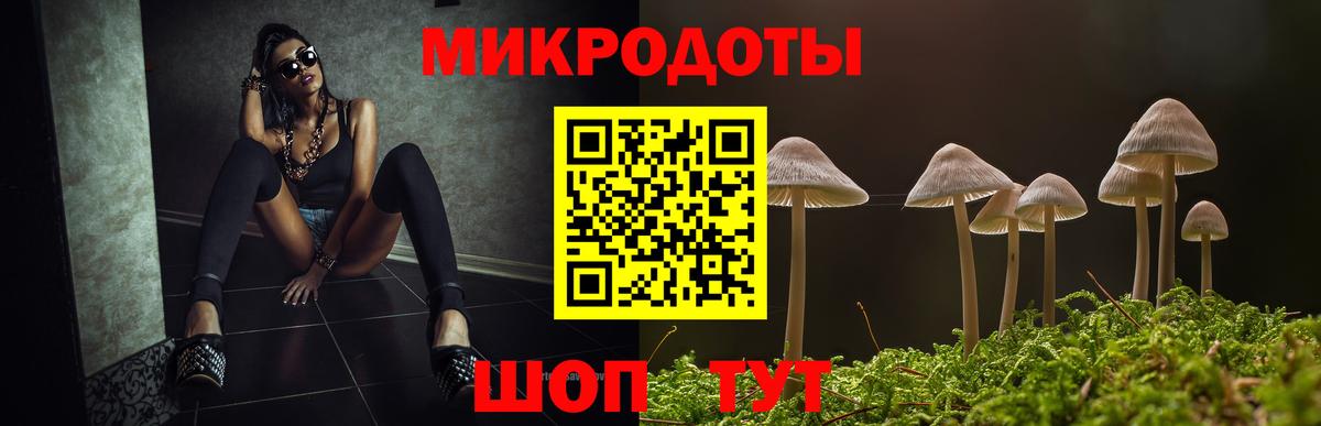 Тулун  Галлюциногенные грибы GOLDEN TEACHER  Вход с VPN  Псилоцибиновые грибы Psilocybine cubensis 