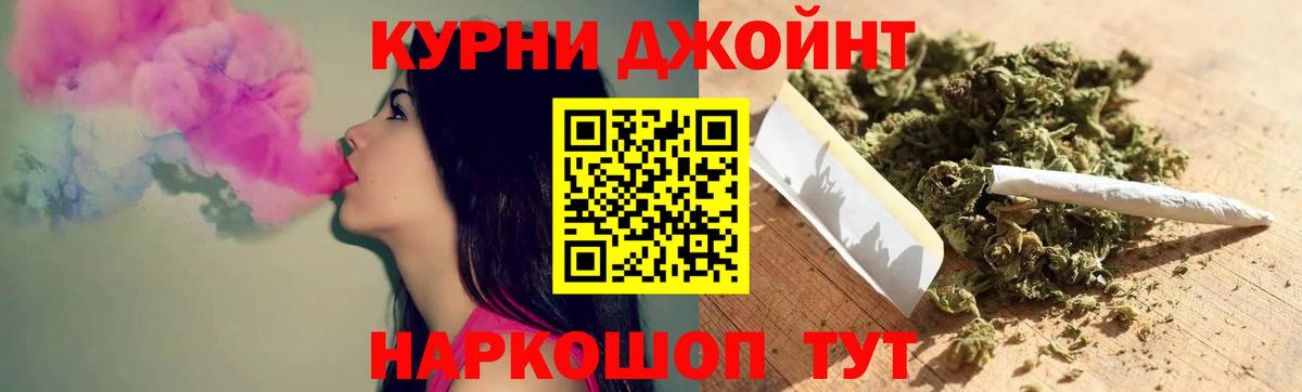 Бошки марихуана план  Каннабис сатива  Тулун  Бошки марихуана марихуана 